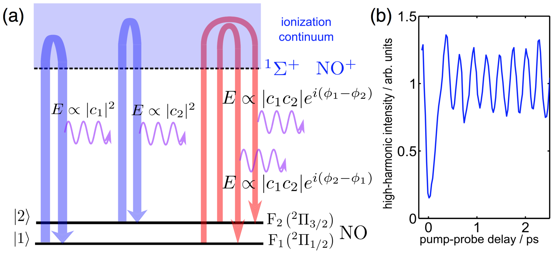 Enlarged view: Different generation channels in high-harmonic generation of choherent superposition states