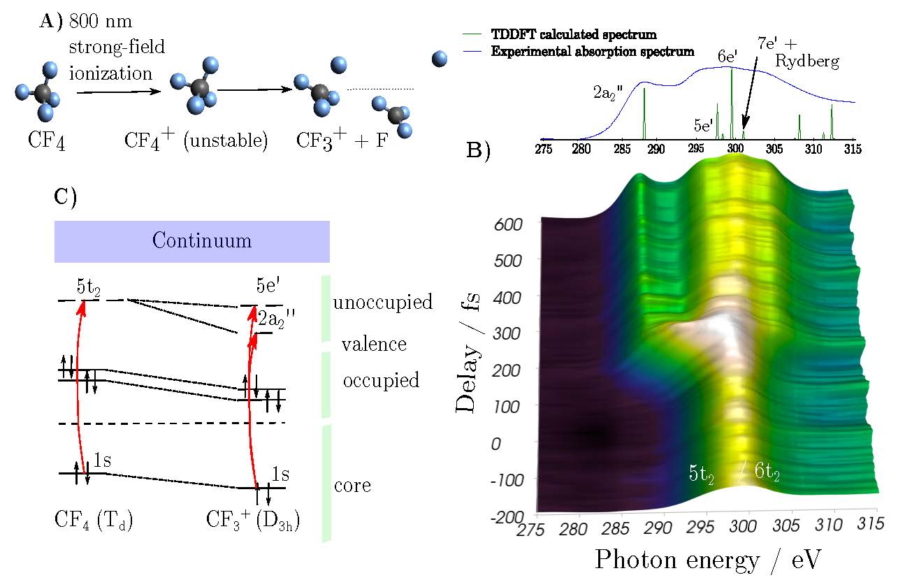 Figure 2: Transient-absorption spectroscopy at the carbon K-edge A) An intense near-infrared pulse induces single ionization of CF4 to CF4+ which is unstable in its electronic ground state and dissociates into CF3+ + F.&nbsp; B) Absorbance (A(t) = ln(I0=I(t))) as a function of the SXR-NIR time delay. C) Orbital diagram illustrating selected transitions, as obtained from TDDFT/LB94 calculations. (from Ref. (1))