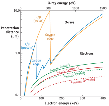 Figure 4: Penetration distance of soft x-ray photons in microns as a function of photon energy for different elements. The water-window spanning from 285 eV to 530 eV show a strong absorption from carbon and high transmission through oxygen (water). This window show the energy range where the contrast between solvent and solvated species is the best. (figure taken from 2)